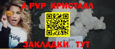 скорость Кингисепп