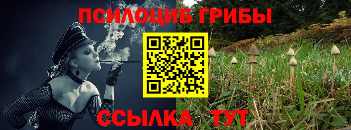 Псилоцибиновые грибы Cubensis  Вход с VPN  Южноуральск 