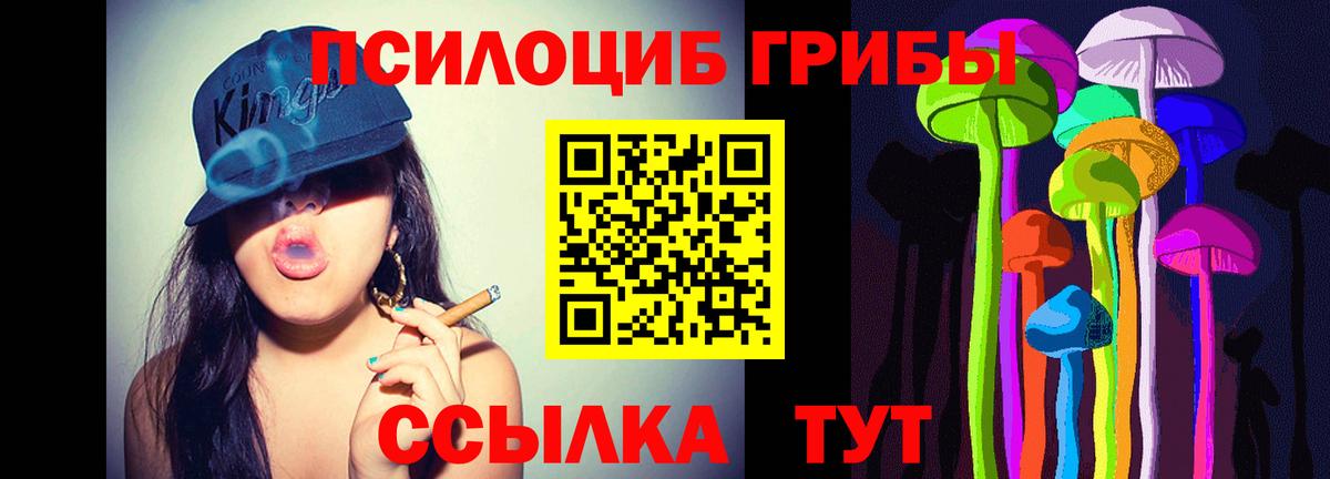 Псилоцибиновые грибы Cubensis Южноуральск